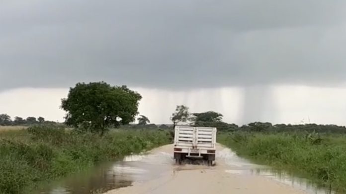 Serán rehabilitados los caminos del norte de Veracruz anuncia López Obrador