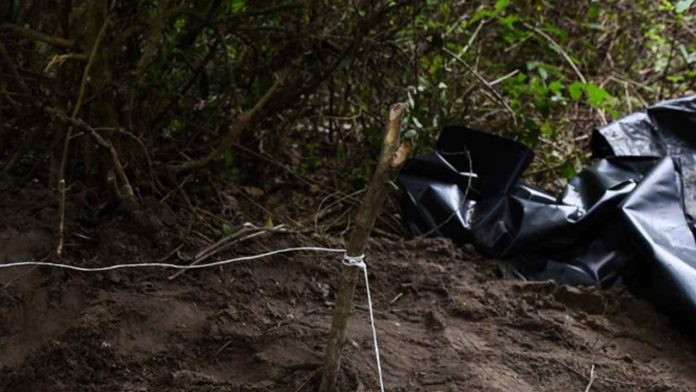 Encuentran 19 cuerpos en fosas clandestinas de Colima