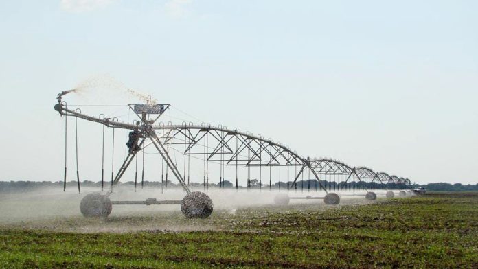 Ciencia y tecnología: el dúo dinámico que fortalece al campo