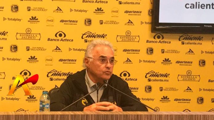Directiva De Monarcas Culpa A La Inseguridad De Michoacán De Ahuyentar A Refuerzos