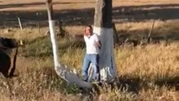 VIDEO (+18): Momento en que asesinan al sobrino de Joan Sebastian
