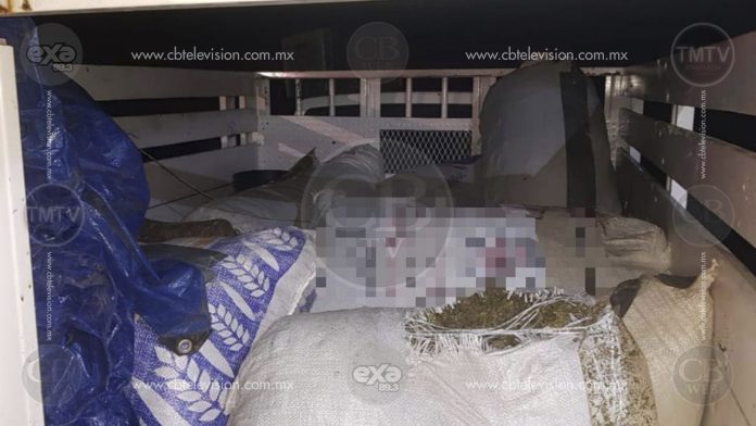 Asegura Policía Michoacán 100 kilos de marihuana