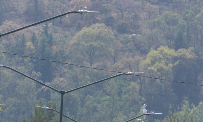 30% de las vialidades con luminarias nuevas ya presentan fallas: Gaspar Hernández Razo