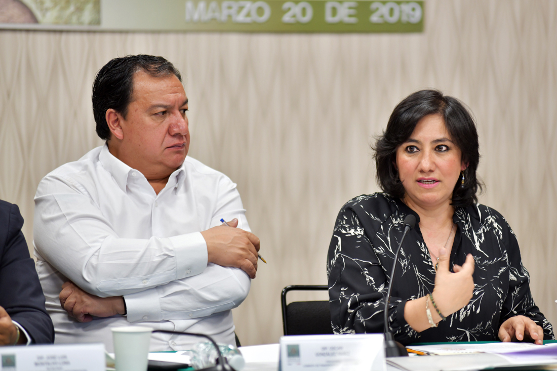 Ante diputados Función Pública presenta su estrategia y avances para combatir la corrupción