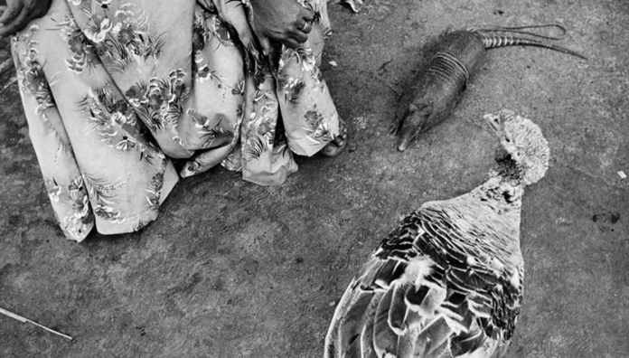 Lo cotidiano transmuta en misterio en la mirada de Graciela Iturbide