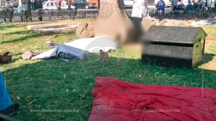 Indigente muere en un jardín público de Zamora
