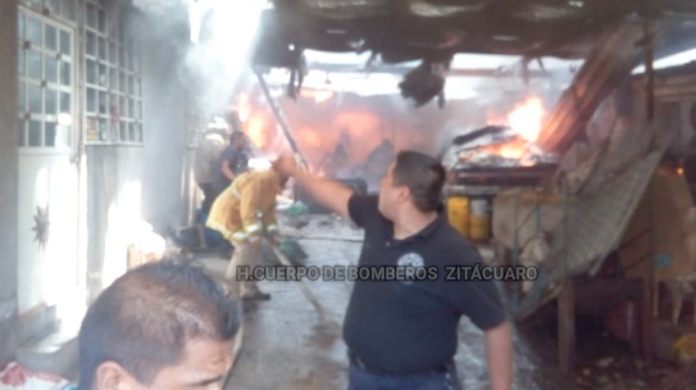 29 cerdos mueren calcinados en incendio en Zitácuaro