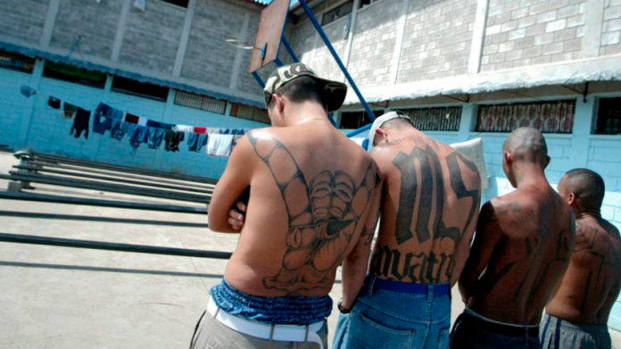 Miembros de MS-13 acuchillan 100 veces y queman a un joven que quería salir de la pandilla