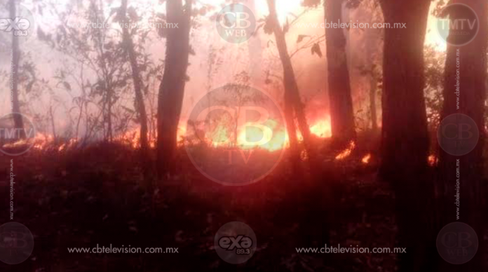 Atacan incendios forestales en la Región Uruapan