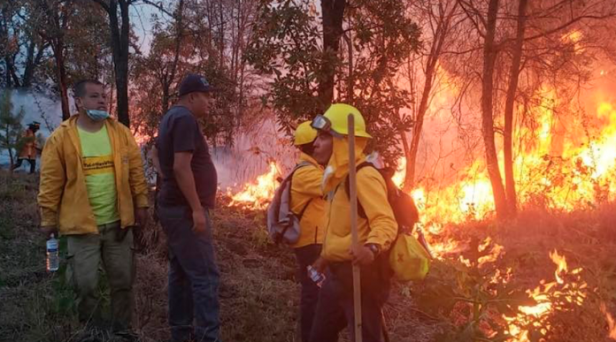 Controlados, incendios en El Zapién y cerro “El Jabalí”