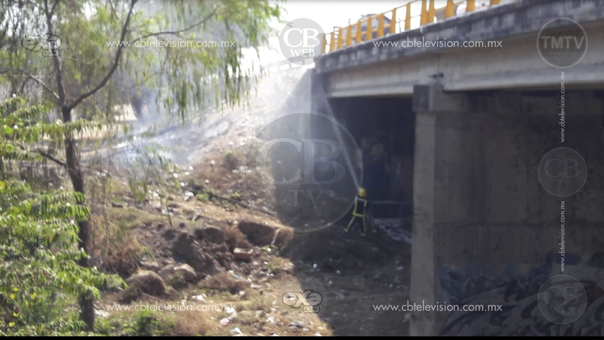 39 personas quedan lesionadas por ataque de abejas en Lázaro Cárdenas