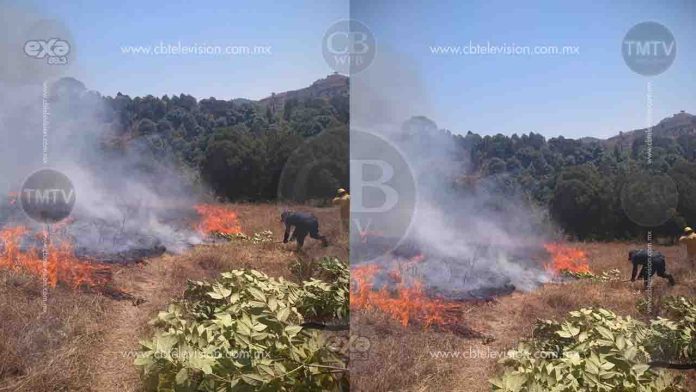Incendio de pastizal causa alarma