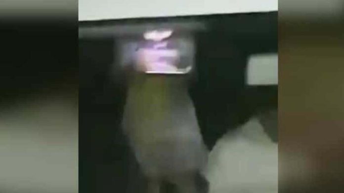 Video (+18): Niña juega con su Tablet mientras su papá muere a un lado de ella en Tabasco