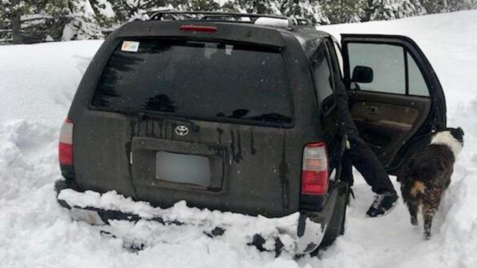 Hombre sobrevive atrapado en la nieve gracias a la salsa de tacos