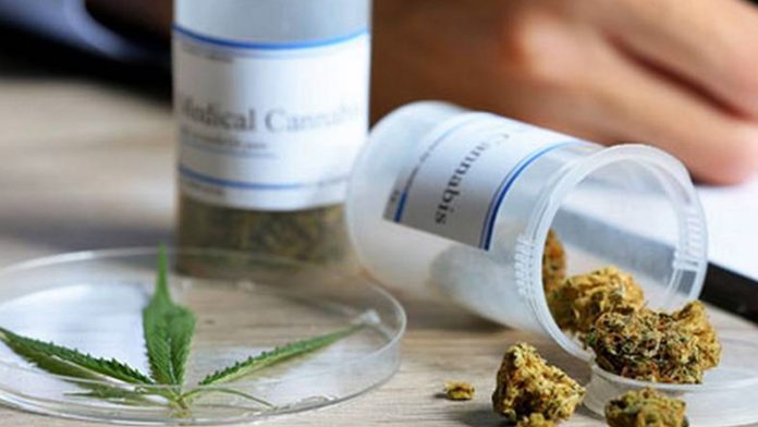 Se revocan lineamientos en materia de control sanitario de la cannabis y derivados de la misma