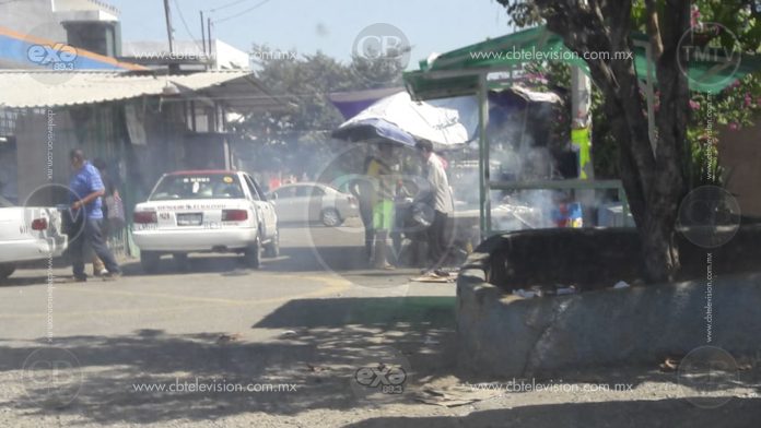 39 personas quedan lesionadas por ataque de abejas en Lázaro Cárdenas