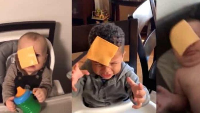 “Cheese challenge”: El reto de aventar rebanadas de queso a bebés