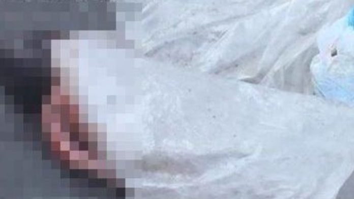 Encuentran cuerpo de recién nacido mutilado en la basura