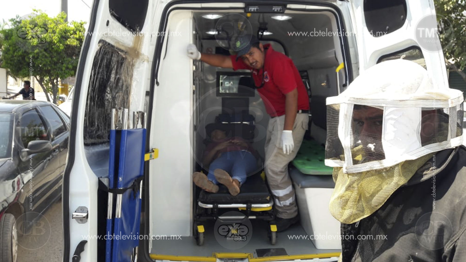 39 personas quedan lesionadas por ataque de abejas en Lázaro Cárdenas