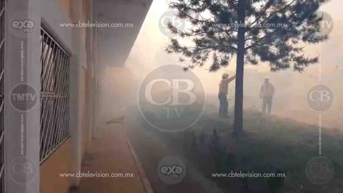 Estudiantes y autoridades controlaron incendio antes de que llegara al Instituto Tecnológico de Ciudad Hidalgo