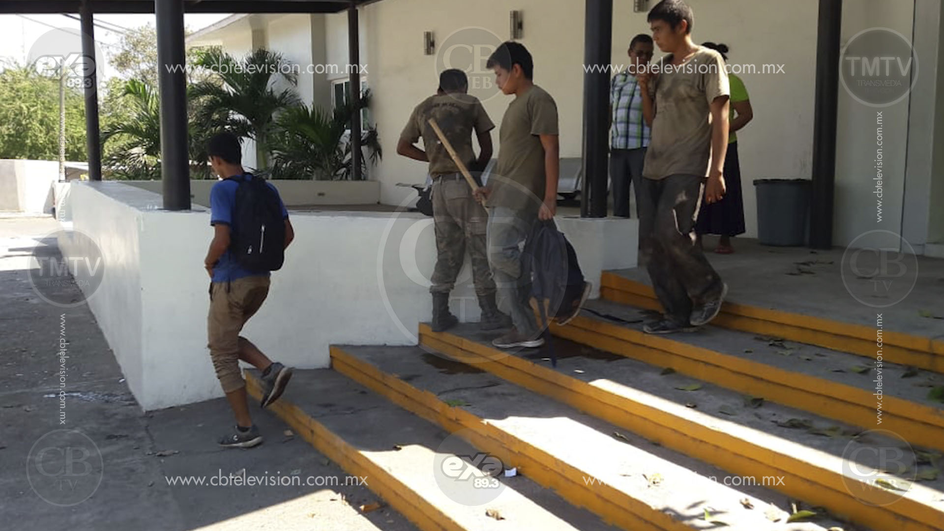 39 personas quedan lesionadas por ataque de abejas en Lázaro Cárdenas