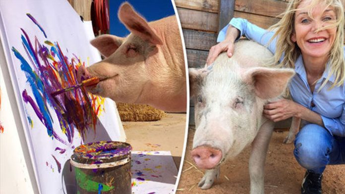 Rescata a cerdo de morir, descubre su talento para el arte y ahora vende sus pinturas hasta en 1600 dólares