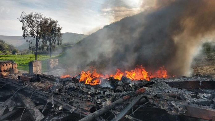 Incineran más de cinco toneladas de narcóticos en Baja California 