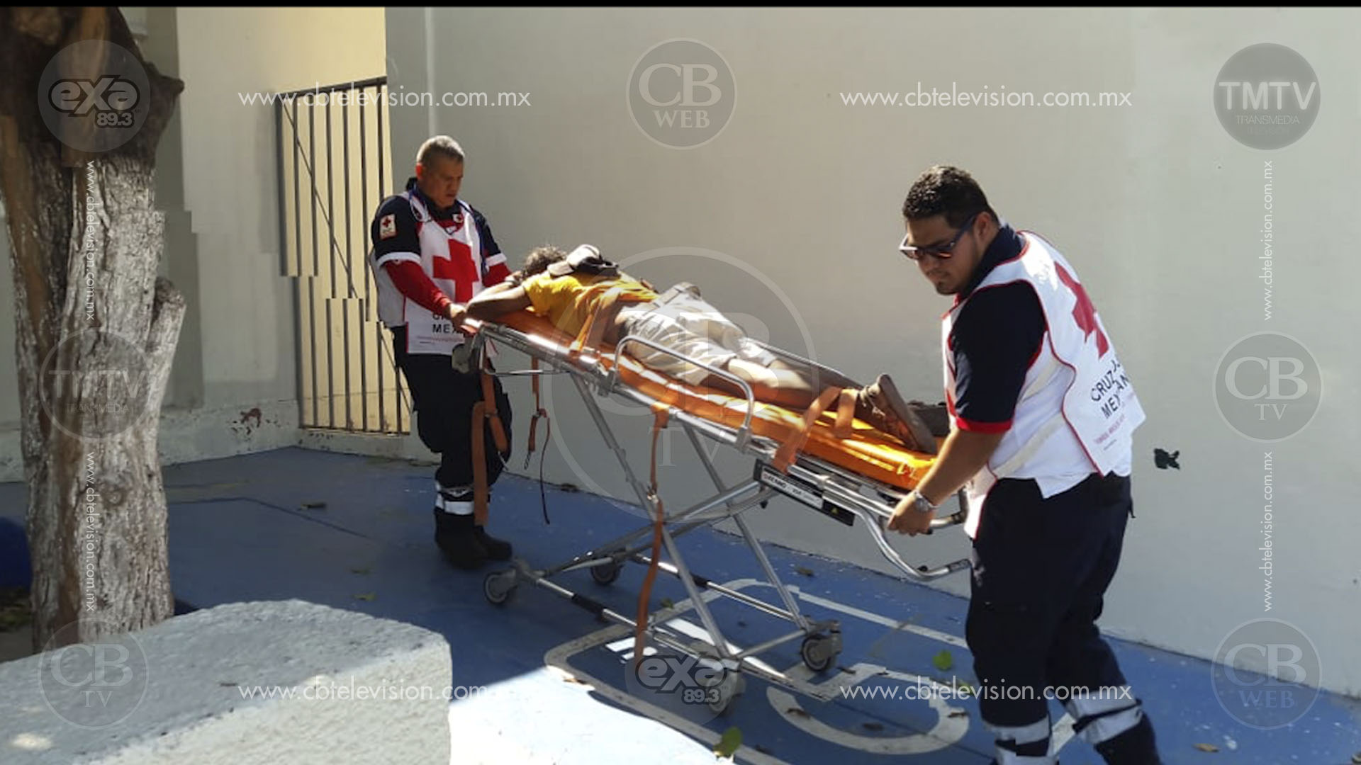 39 personas quedan lesionadas por ataque de abejas en Lázaro Cárdenas