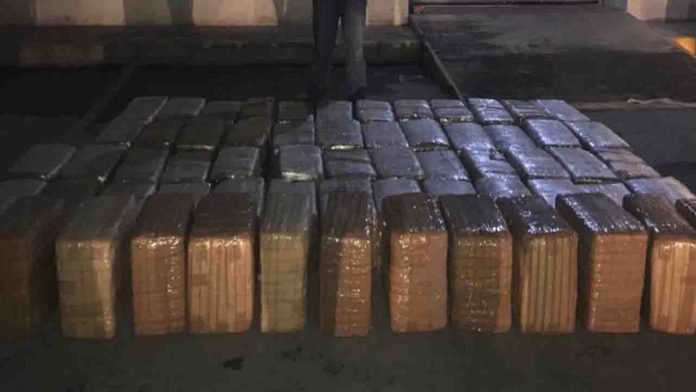 Aseguran en Nuevo León cerca de una tonelada y media de marihuana