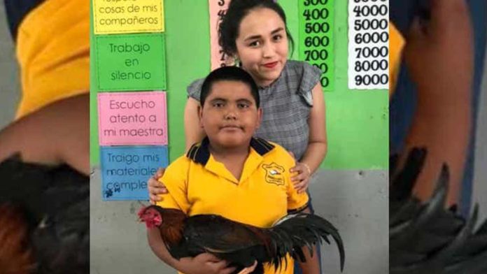 Niño humilde agradece a su maestra regalándole un gallito de cumpleaños