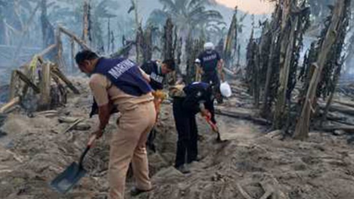 La Secretaría de Marina–Armada de México brinda apoyo para la sofocación de incendios forestales en diferentes partes del país