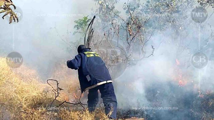 Imparables los incendios de pastizal en Zitácuaro