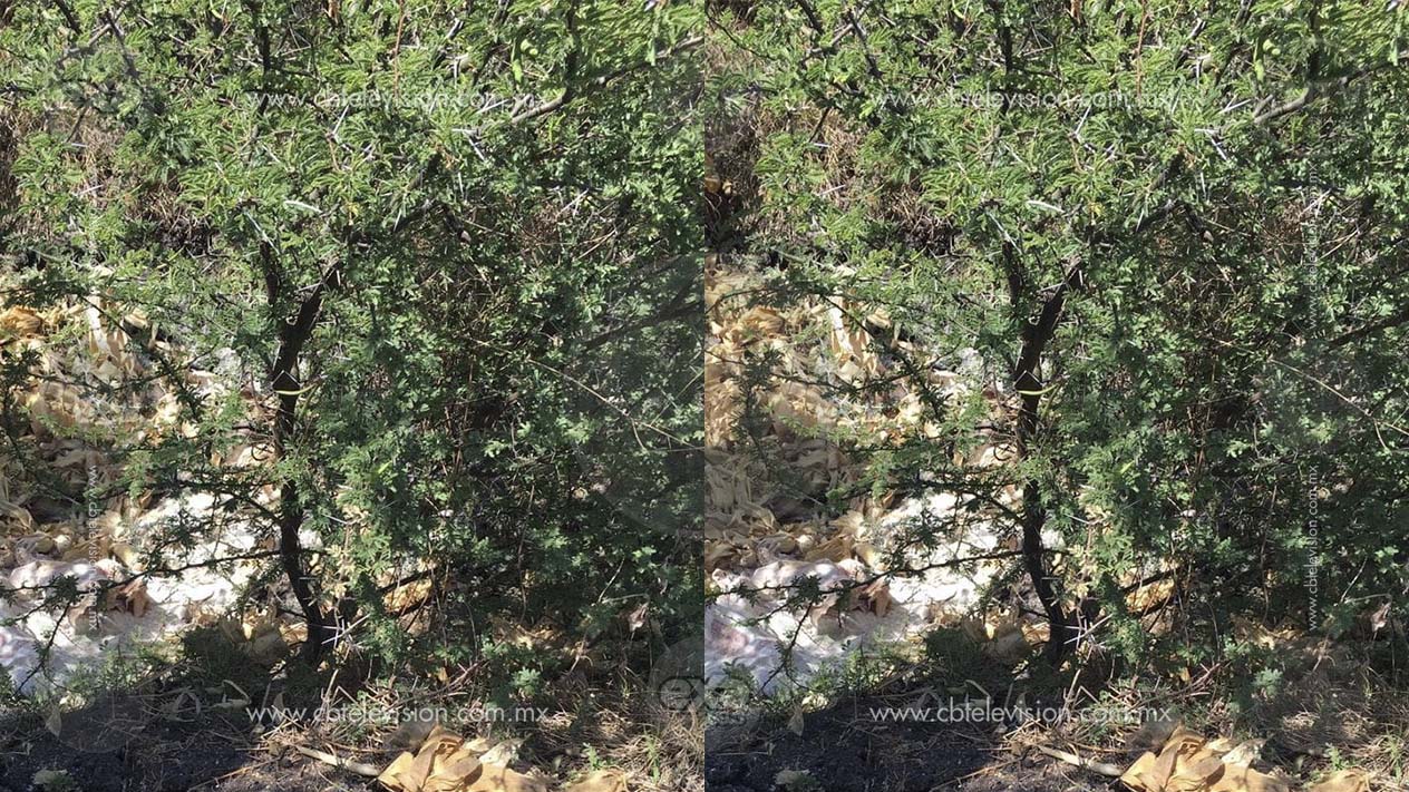 Encuentran cadáver baleado y putrefacto cerca de planta tratadora de agua en Zamora