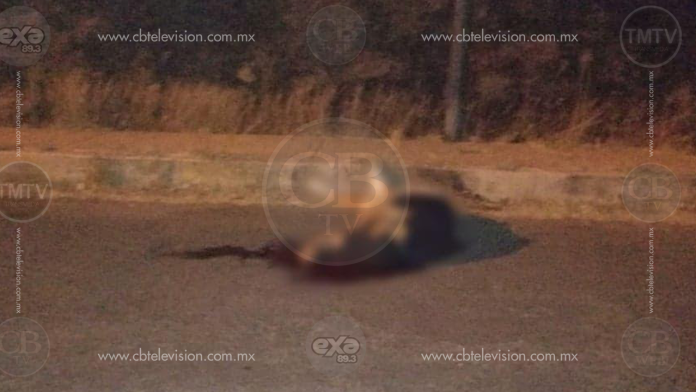 Matan a hombre a espaldas del Estadio Morelos