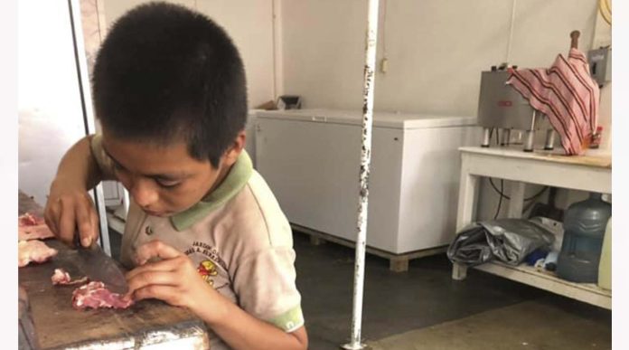 Jorge, un niño que con ocho años trabaja para ayudar a su abuelita y hermanos