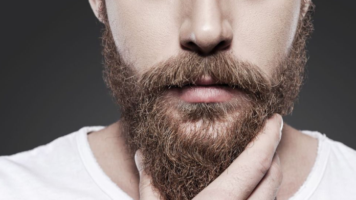 La barba de un hombre tiene más bacterias y gérmenes que un perro