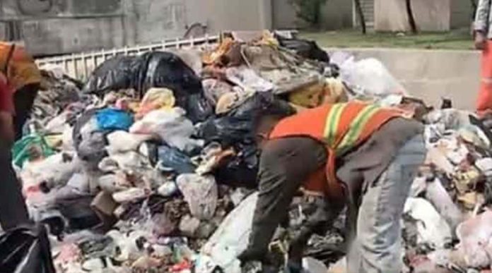 Mujer pide vaciar camión de basura para encontrar su teléfono que había tirado por error