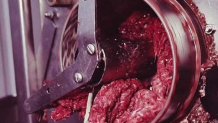 Mujer pierde la vida de una manera espantosa, cayó a una moledora de carne