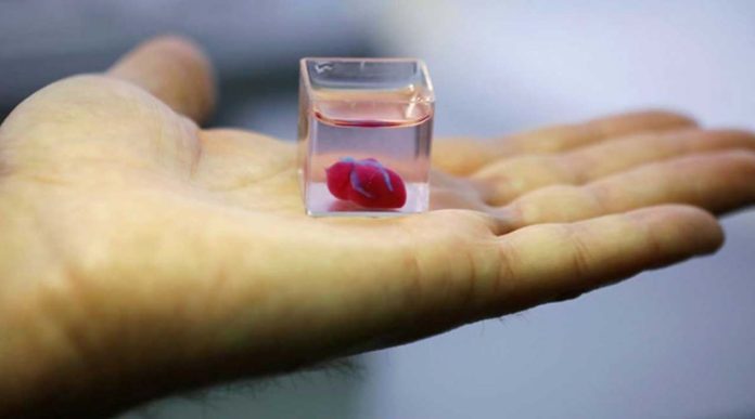 Con impresora 3D crean corazón humano que palpita