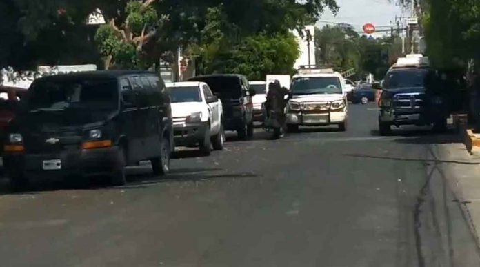 Encuentran tres cuerpos en una fosa clandestina de Zapopan