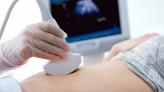 NO tener hijos podría ser lo mejor que puedes hacer por el planeta: Estudio
