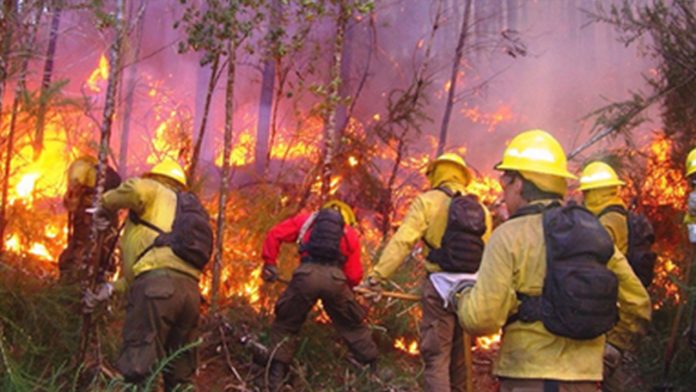 Reitera el Gobierno de México que continuará aplicando la normatividad vigente respecto a cambio de uso de suelo en terrenos incendiados