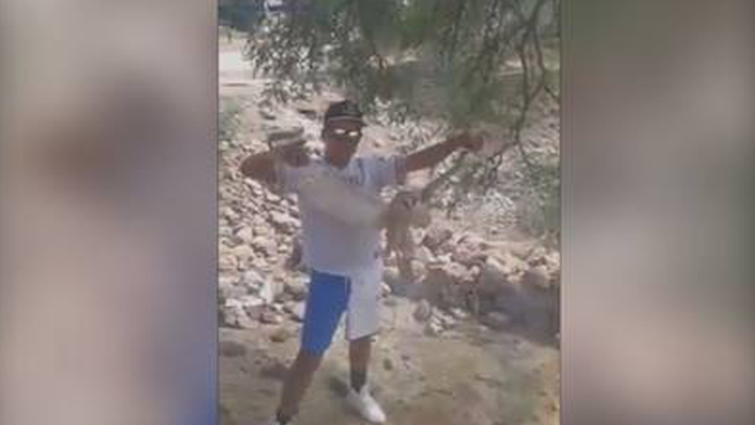 Interponen denuncia por muerte de lechuza en Durango; la quemaron viva y compartieron el video 
