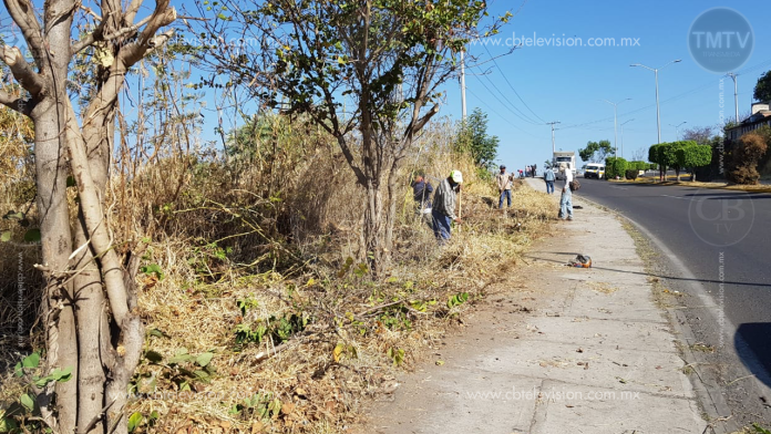 Retiran animales muertos, maleza y basura en libramiento de Zitácuaro