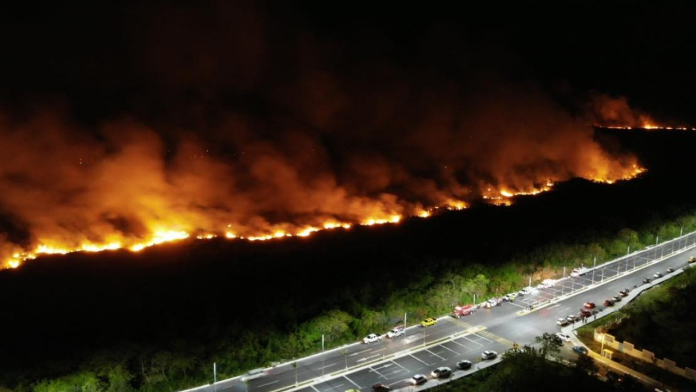 Incendio arrasa con al menos 200 hectáreas de manglar en Campeche