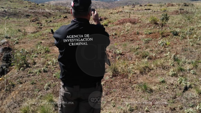 Investiga FGR ecocidio en el Cerro del Águila por cambio de uso de suelo