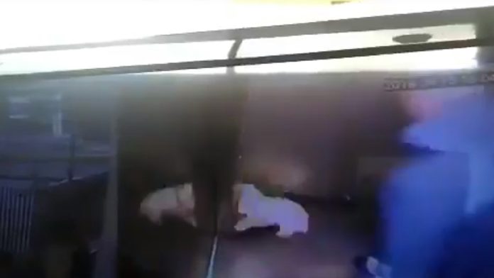 Captan a funcionario de la ONU pateando a su perro
