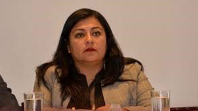 Diputada de Morena propone crear centros para matar perros y gatos callejeros