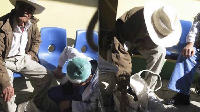 Ancianito llega angustiado con su perro en brazos a un hospital, no quería que se muriera