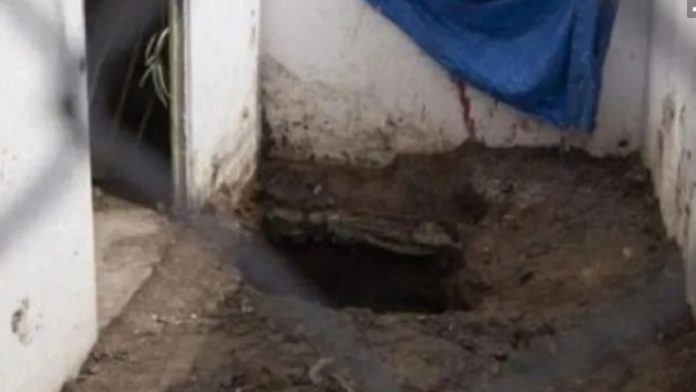 Cadáver de una mujer es encontrado enterrado en el patio de su casa